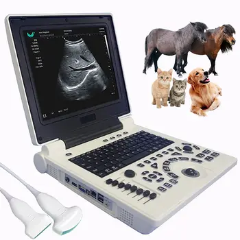 Ultrahang Szkenner Állat-egészségügyi Gép, Laptop, 12 Colos Hordozható Fekete-Fehér Doppler haszonállatok Terhesség Domború Szonda, USB